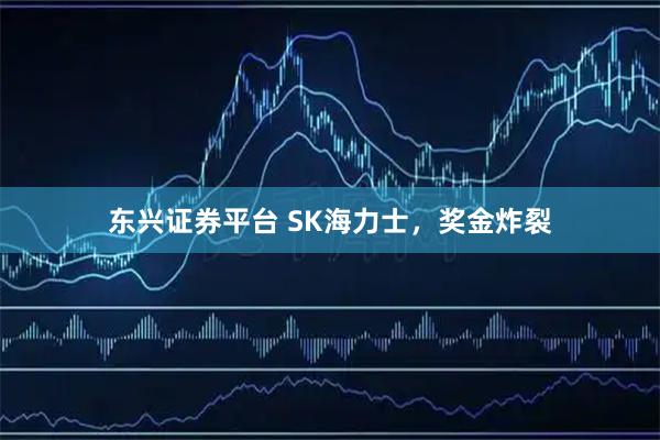 东兴证券平台 SK海力士，奖金炸裂