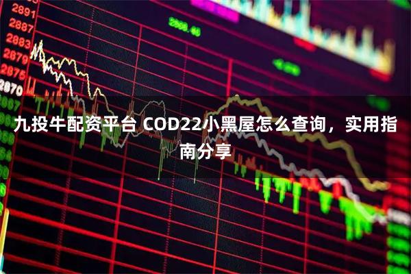 九投牛配资平台 COD22小黑屋怎么查询，实用指南分享