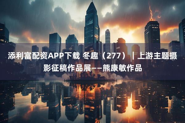 添利富配资APP下载 冬趣（277）｜上游主题摄影征稿作品展——熊康敏作品