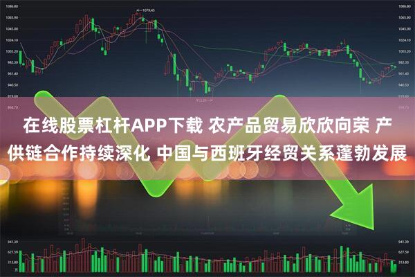 在线股票杠杆APP下载 农产品贸易欣欣向荣 产供链合作持续深化 中国与西班牙经贸关系蓬勃发展